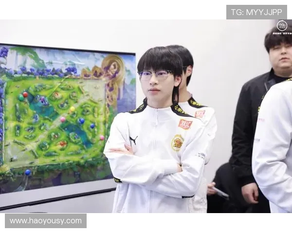 聚焦王者荣耀TES战队的迅速崛起与战术创新探讨